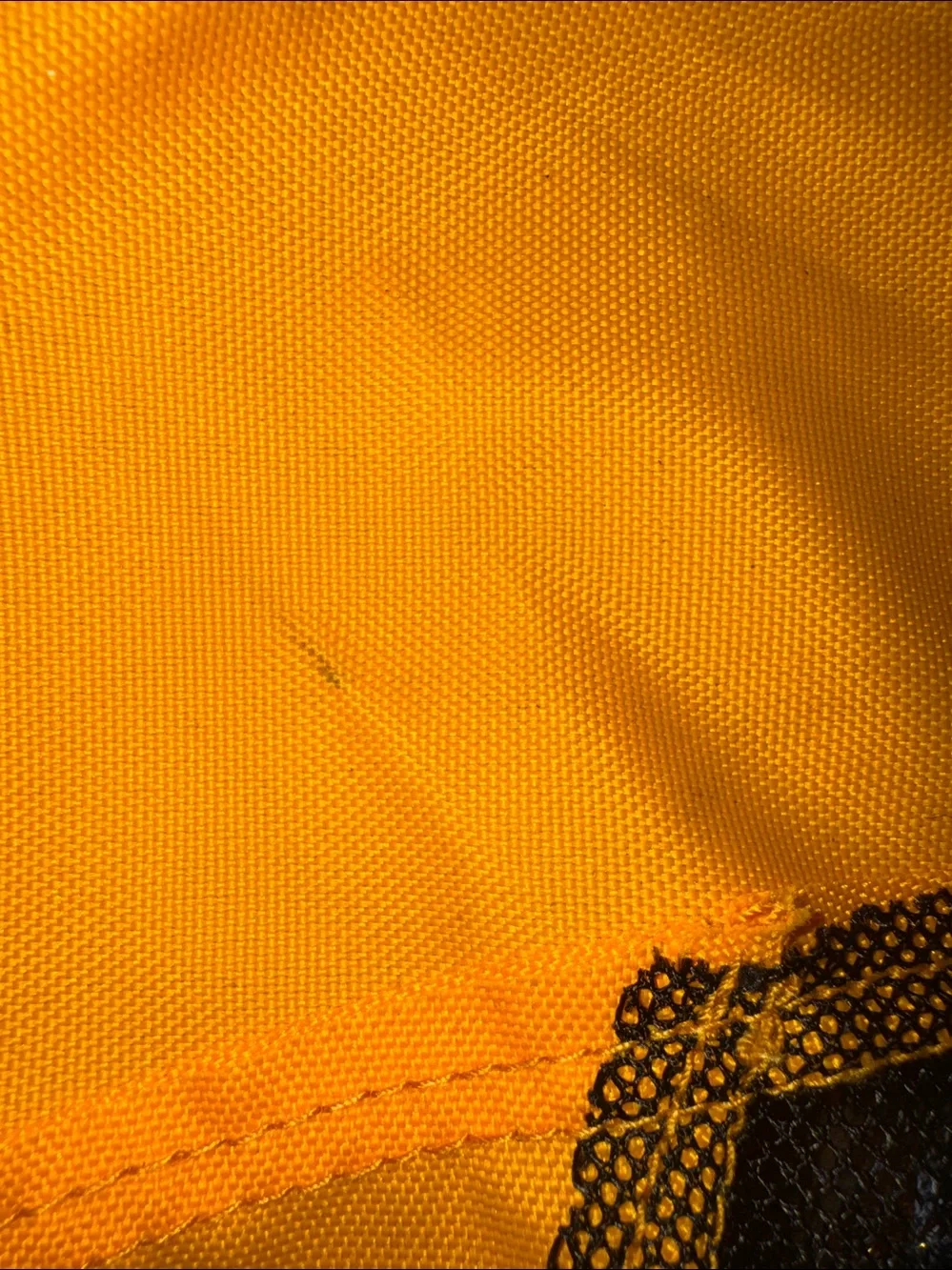 Burley ‘BEE’ nwt!